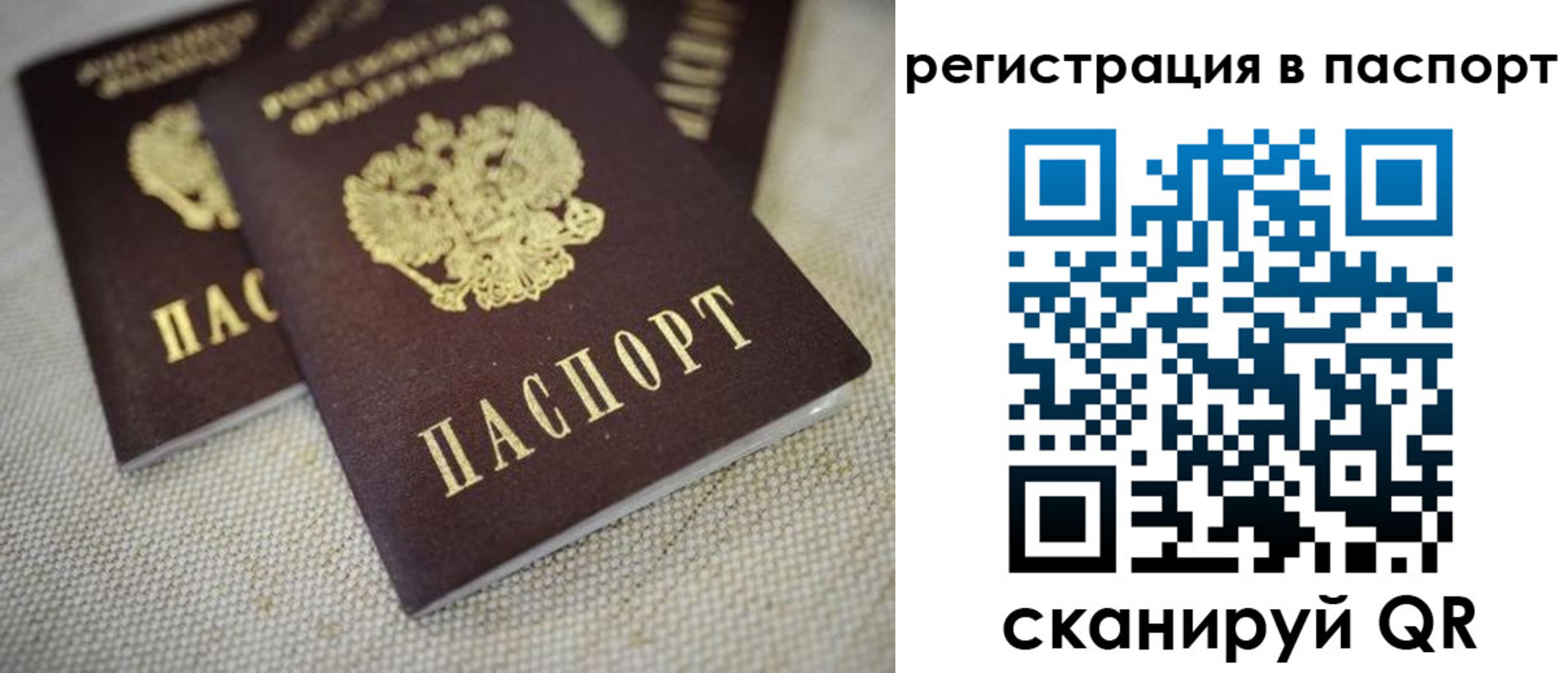 прописка гарантия в Данкове